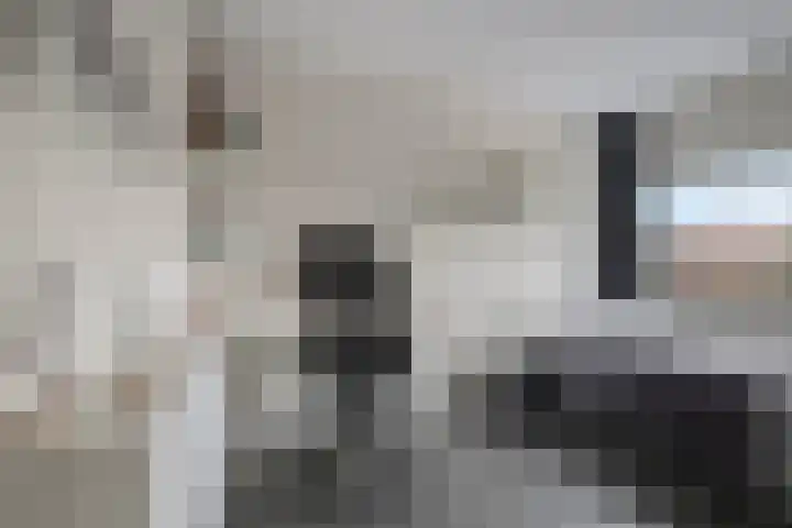 Pauwoog 54 Hoogeveen thumbnail 30