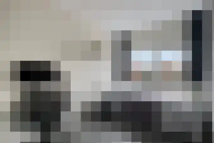 Pauwoog 54 Hoogeveen thumbnail 31
