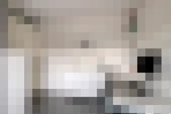 Pauwoog 54 Hoogeveen thumbnail 32