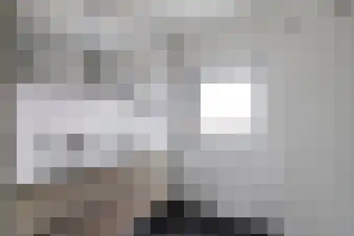 Pauwoog 54 Hoogeveen thumbnail 33