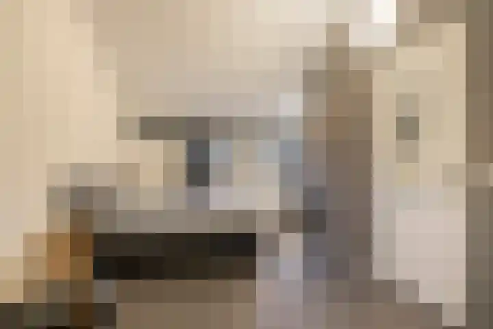 Pauwoog 54 Hoogeveen thumbnail 38