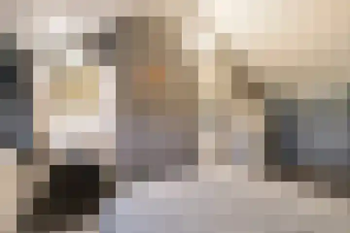 Pauwoog 54 Hoogeveen thumbnail 39