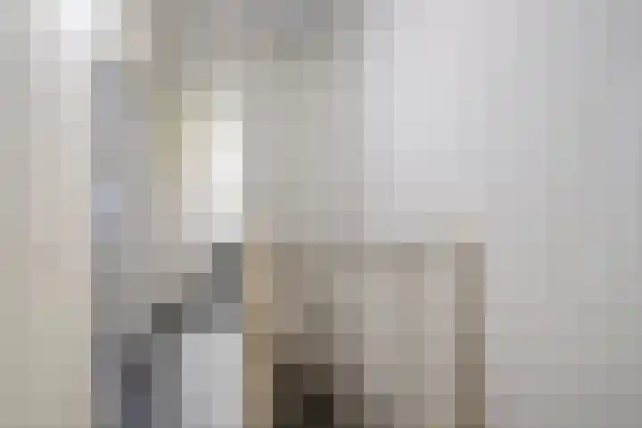 Pauwoog 54 Hoogeveen thumbnail 41