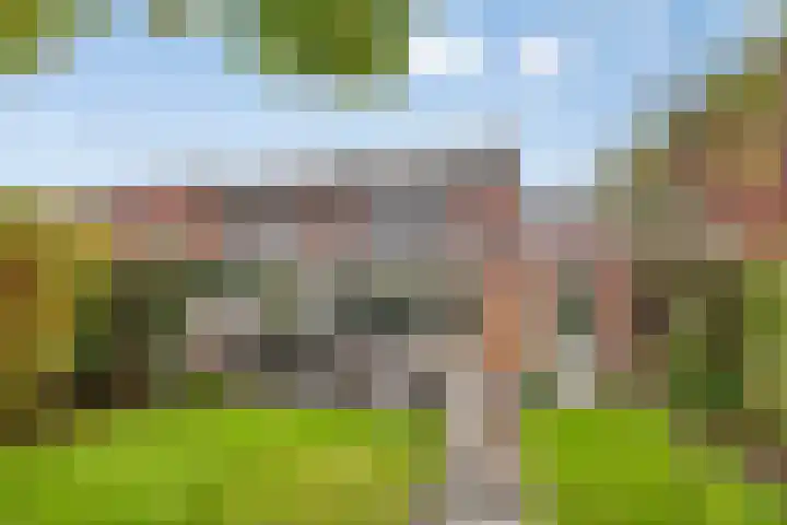 Pauwoog 54 Hoogeveen thumbnail 44