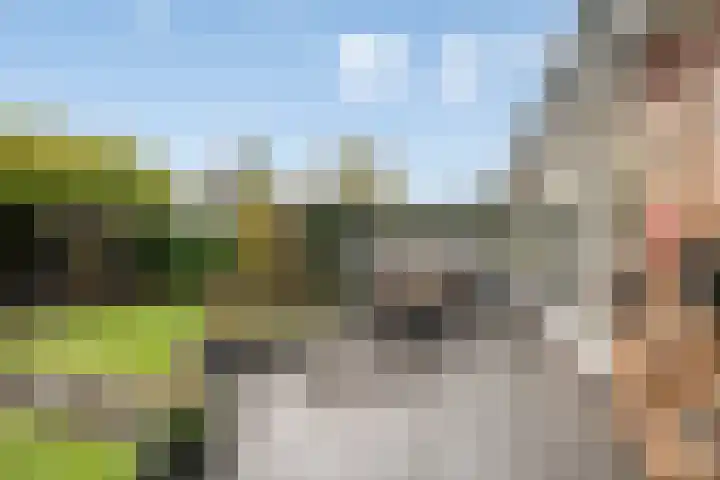 Pauwoog 54 Hoogeveen thumbnail 45