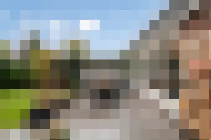 Pauwoog 54 Hoogeveen thumbnail 46
