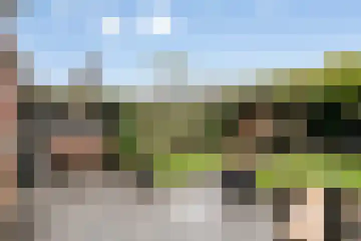 Pauwoog 54 Hoogeveen thumbnail 48