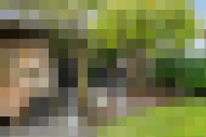 Pauwoog 54 Hoogeveen thumbnail 49