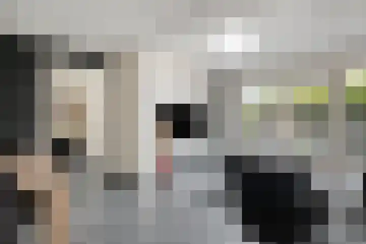 Pauwoog 54 Hoogeveen thumbnail 5