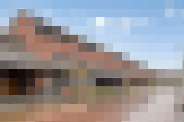 Pauwoog 54 Hoogeveen thumbnail 52