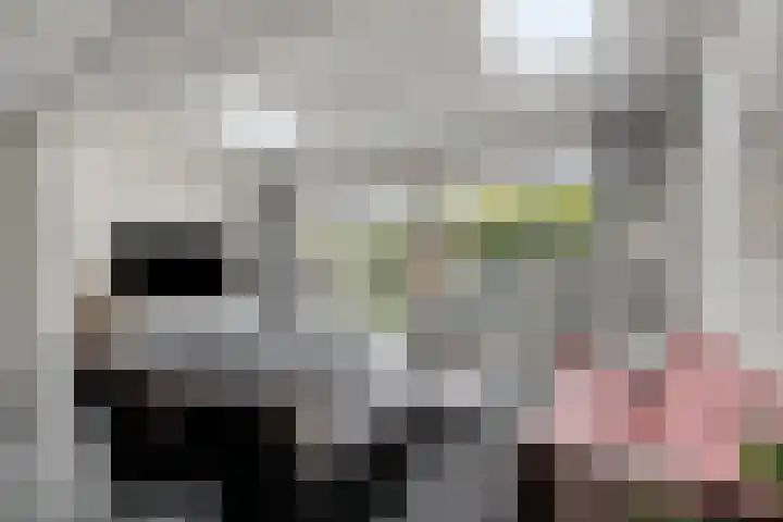 Pauwoog 54 Hoogeveen thumbnail 6