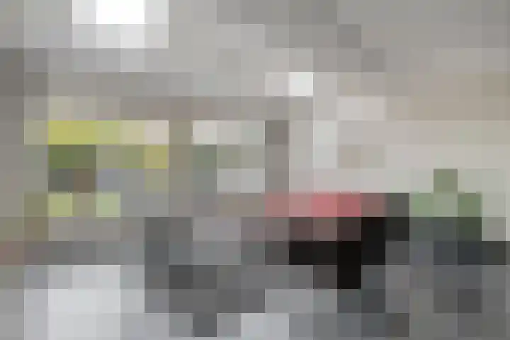 Pauwoog 54 Hoogeveen thumbnail 7
