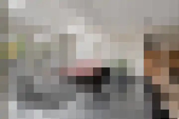 Pauwoog 54 Hoogeveen thumbnail 8