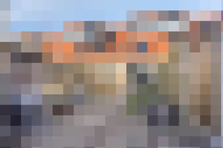 Pauwoog 63 Zeewolde thumbnail 26