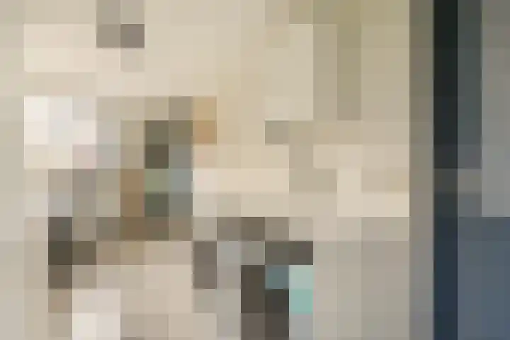 Pauwoog 7 Oss thumbnail 10