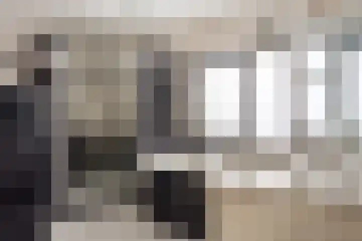 Pauwoog 7 Oss thumbnail 15