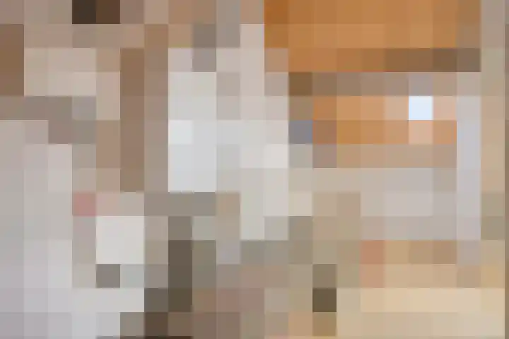Pauwoog 7 Oss thumbnail 17
