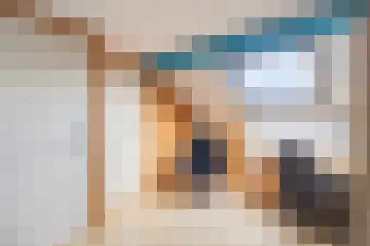 Pauwoog 7 Oss thumbnail 18