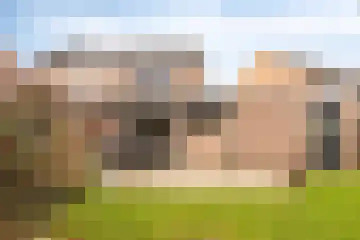 Pauwoog 7 Oss thumbnail 20