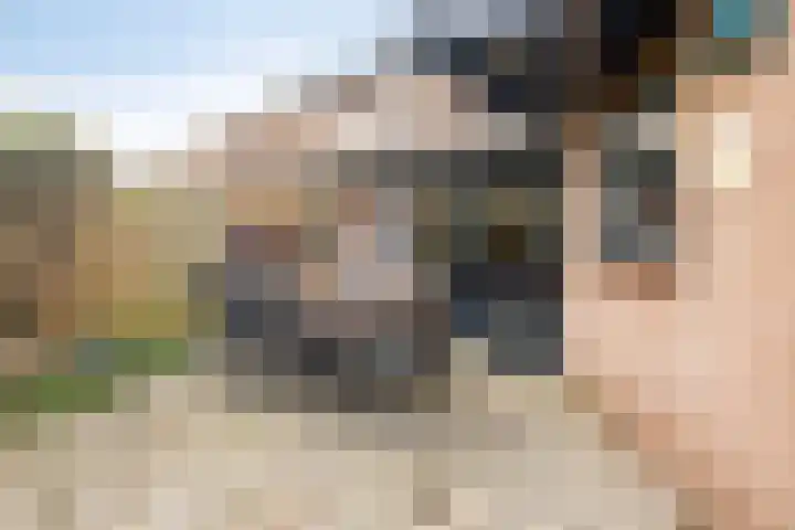 Pauwoog 7 Oss thumbnail 21