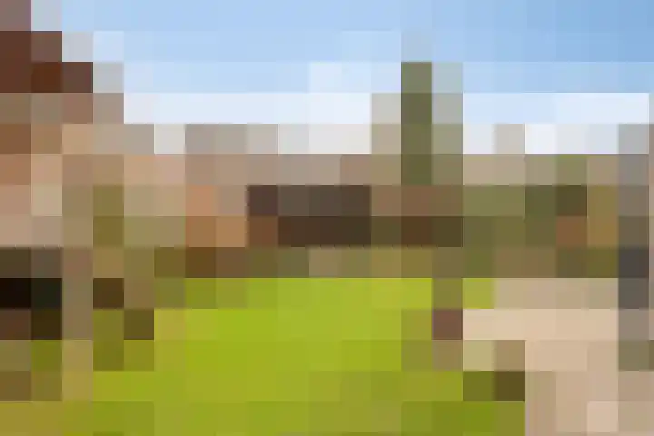 Pauwoog 7 Oss thumbnail 22
