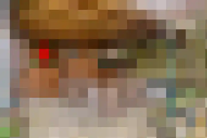 Pauwoog 7 Oss thumbnail 23