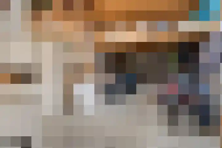 Pauwoog 7 Oss thumbnail 26