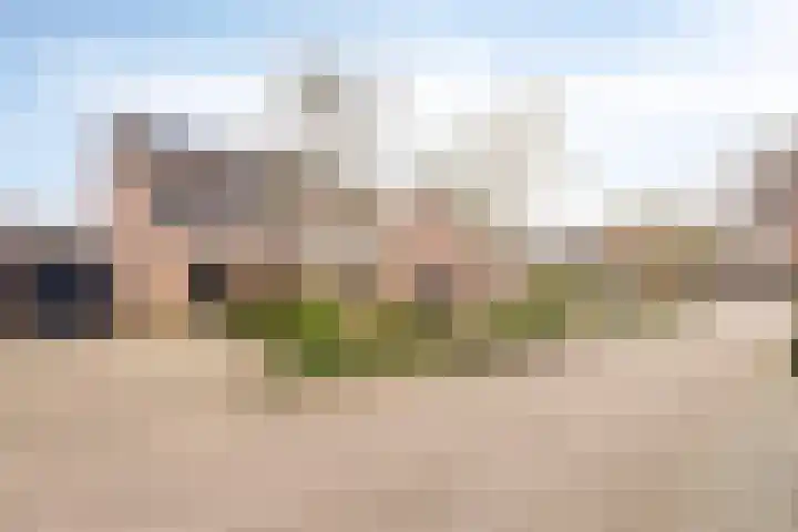 Pauwoog 7 Oss thumbnail 28