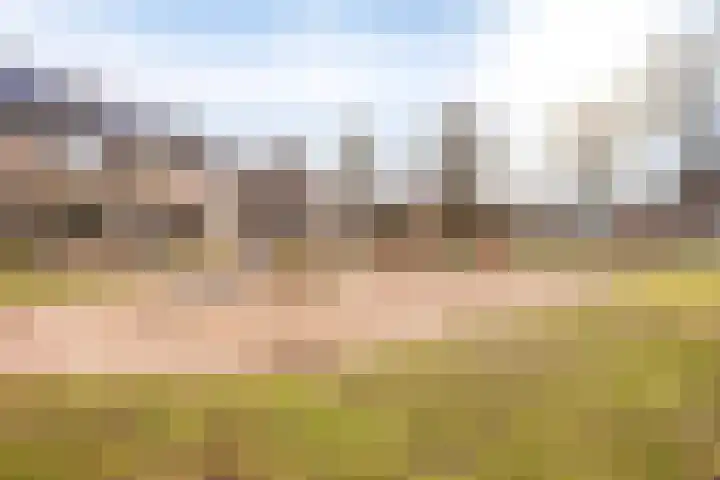 Pauwoog 7 Oss thumbnail 29