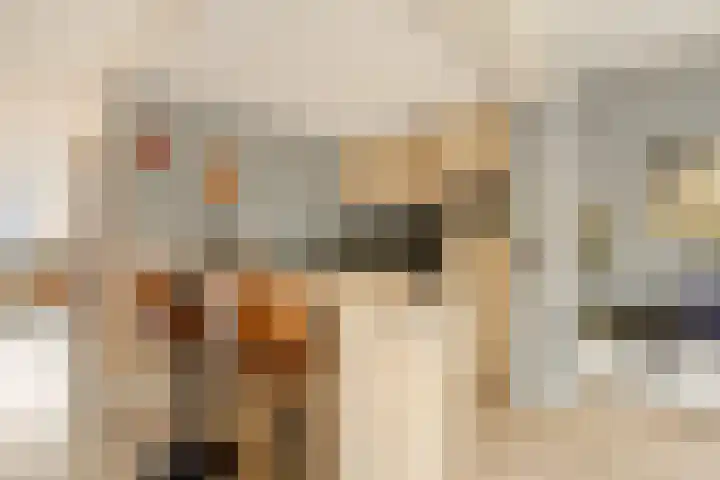 Pauwoog 7 Oss thumbnail 7