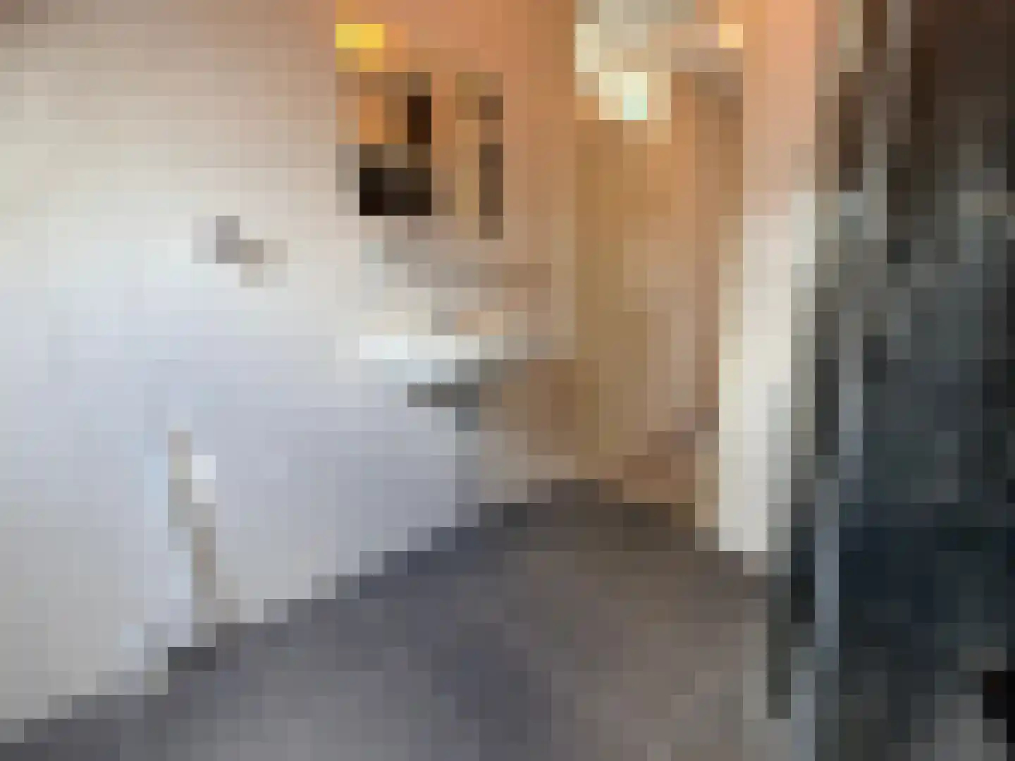 Pauwoog 73 Zeewolde thumbnail 33