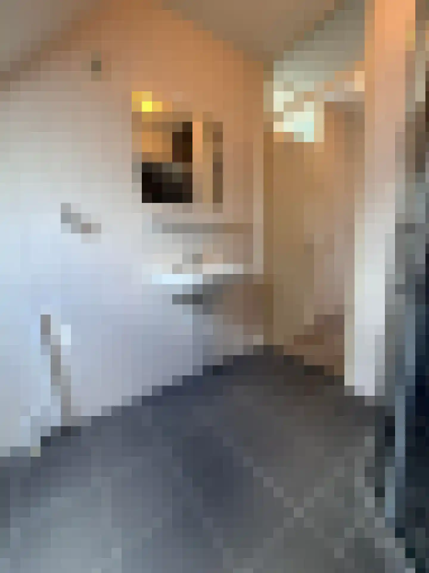 Pauwoog 73 Zeewolde thumbnail 34