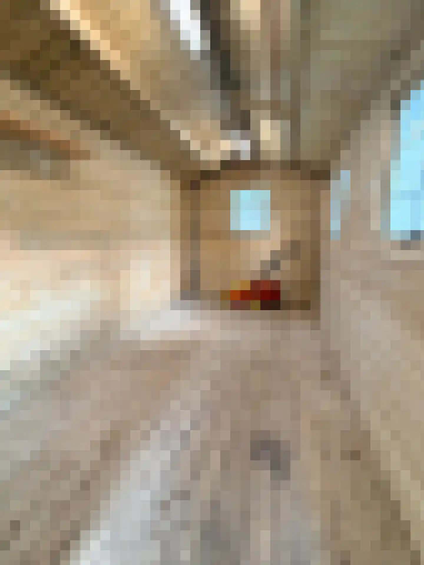 Pauwoog 73 Zeewolde thumbnail 51