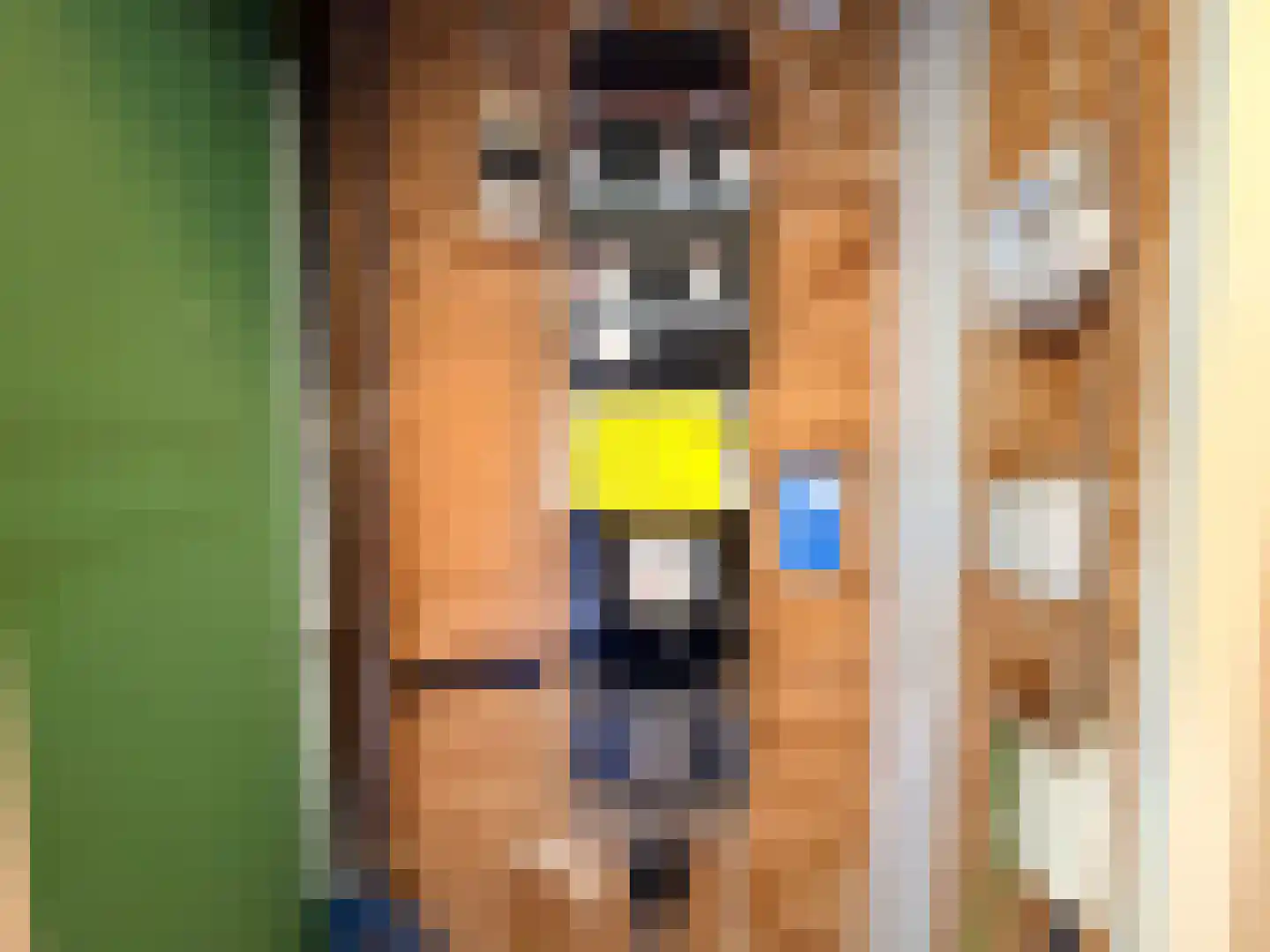 Pauwoog 73 Zeewolde thumbnail 8