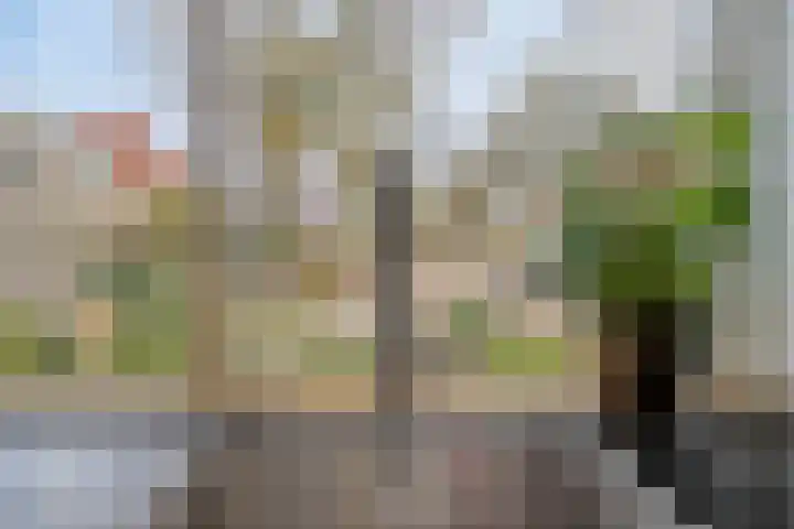 Pauwoog 76 Zeewolde thumbnail 15