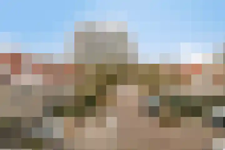Pauwoog 76 Zeewolde thumbnail 30