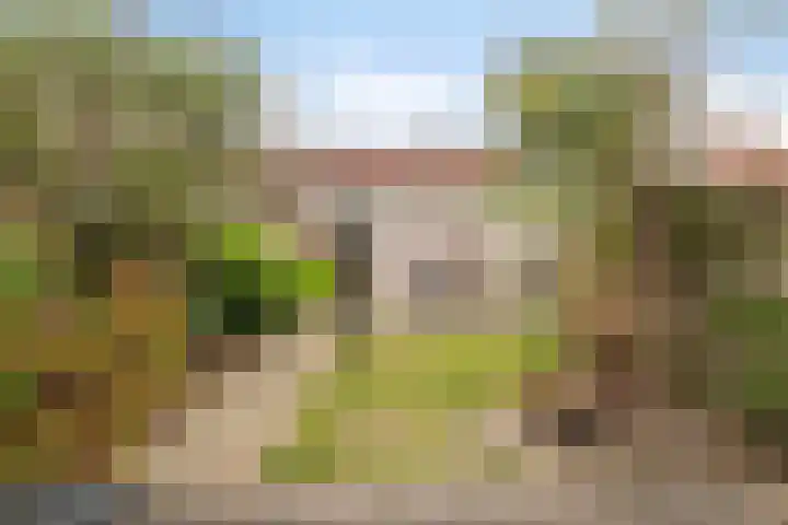 Pauwoog 76 Zeewolde thumbnail 31