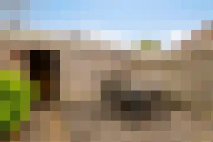 Pauwoog 76 Zeewolde thumbnail 33