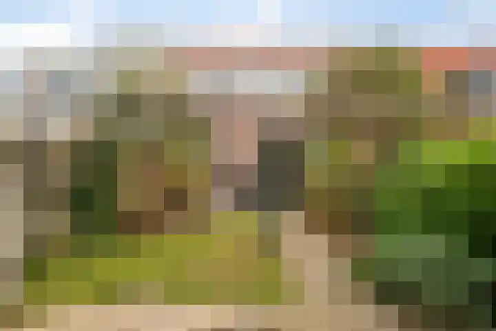 Pauwoog 76 Zeewolde thumbnail 34