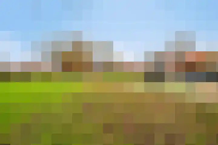 Pauwoog 76 Zeewolde thumbnail 35