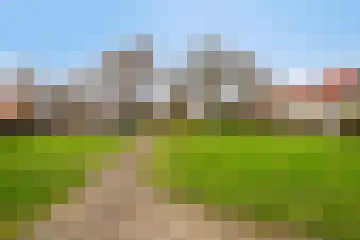 Pauwoog 76 Zeewolde thumbnail 36