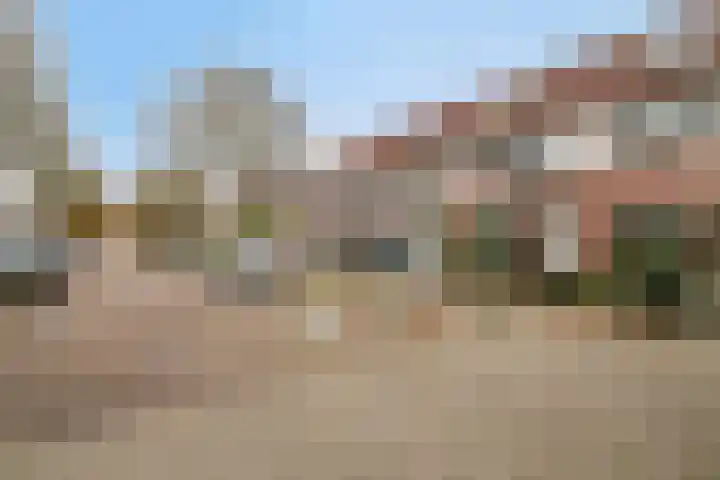 Pauwoog 76 Zeewolde thumbnail 4