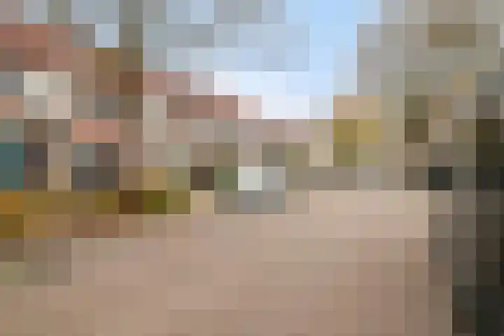 Pauwoog 76 Zeewolde thumbnail 5