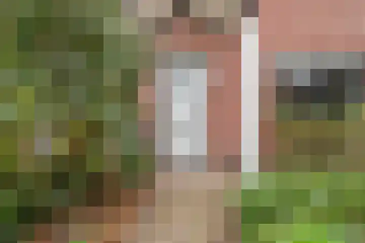 Pauwoog 76 Zeewolde thumbnail 6