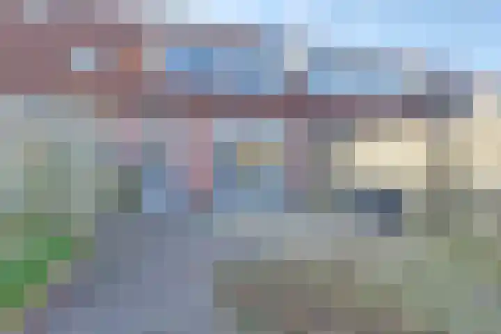 Pauwoog 93 Zeewolde thumbnail 24