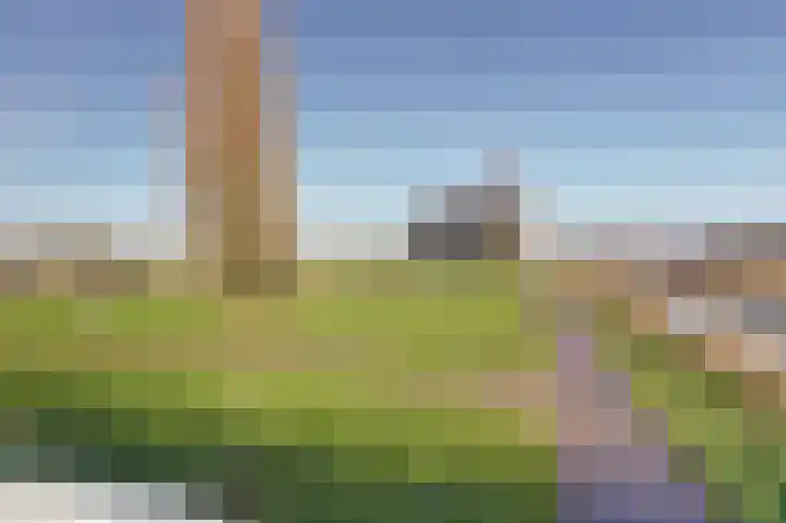 Pauwoog 93 Zeewolde thumbnail 29