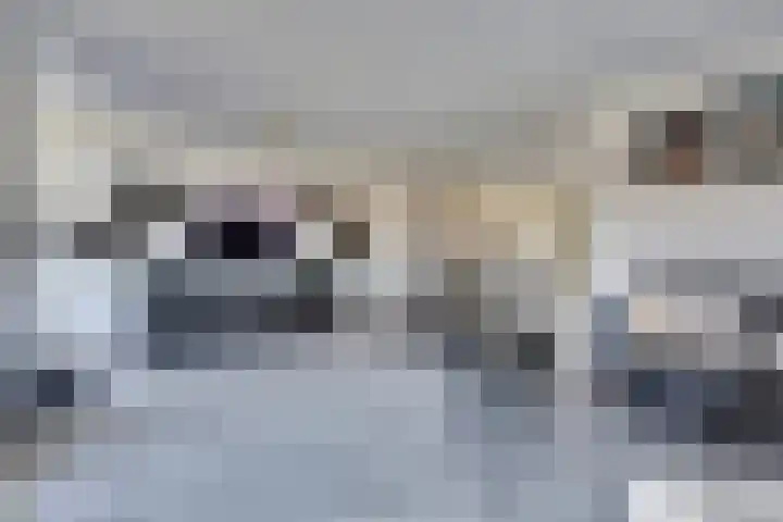 Pauwoog 93 Zeewolde thumbnail 9