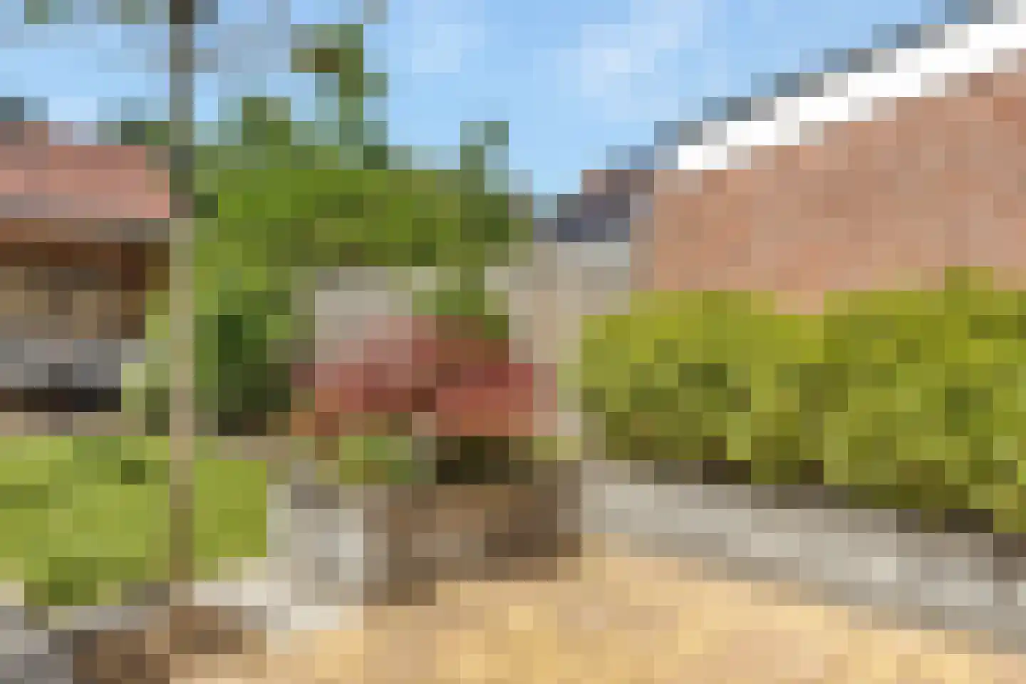 Pauwoog 94 Zeewolde thumbnail 33