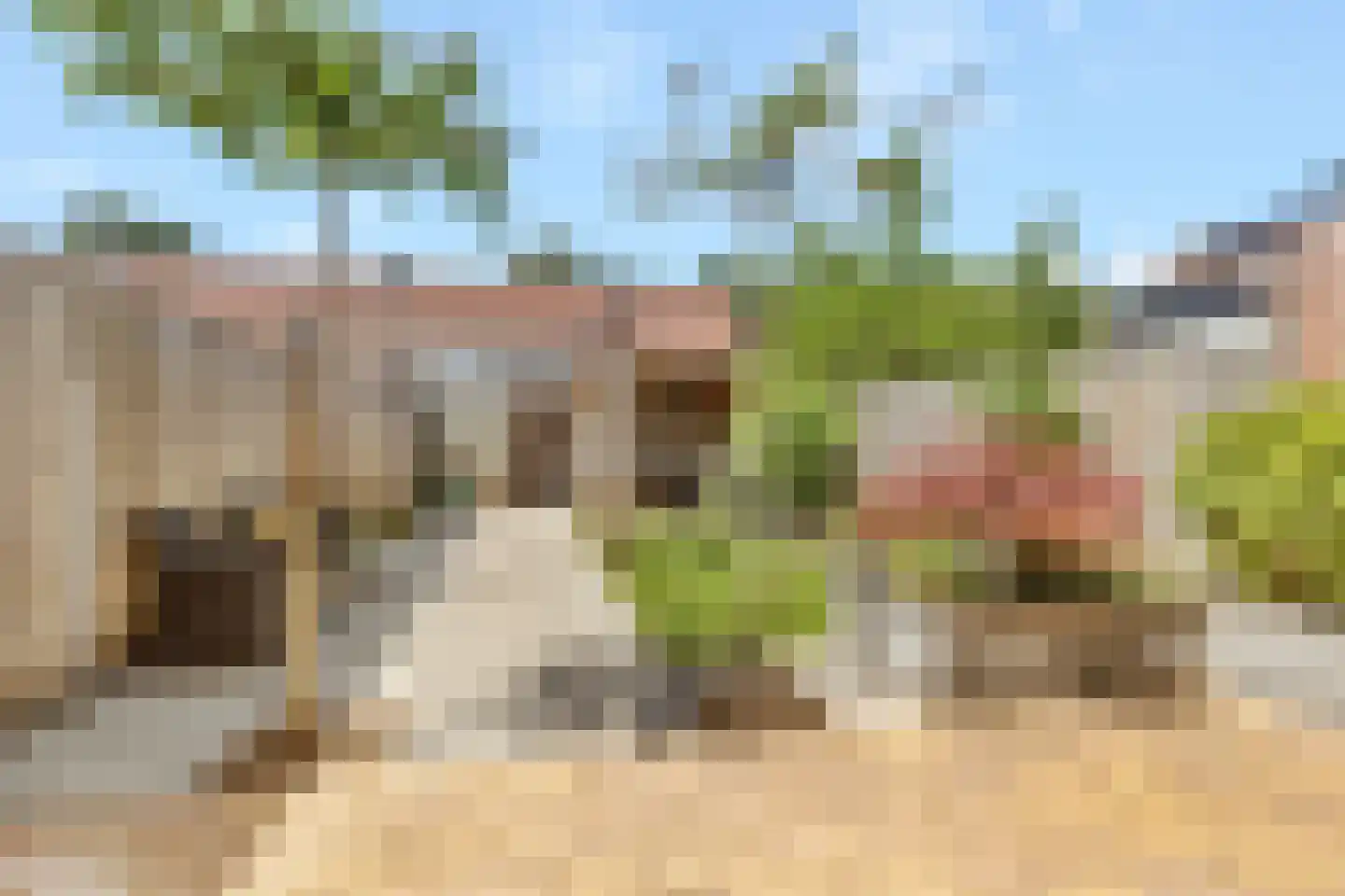 Pauwoog 94 Zeewolde thumbnail 34