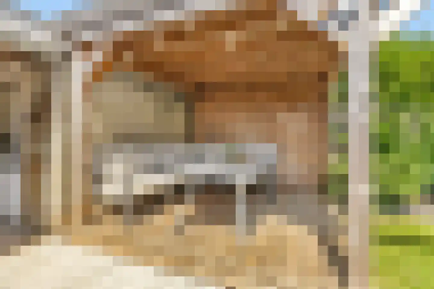 Pauwoog 94 Zeewolde thumbnail 37